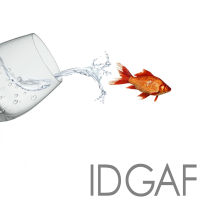 IDGAF - Full Cover cover